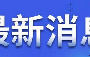 沈阳银行最新爆料新闻,揭秘神秘资金流向与内部操作内幕  第3张