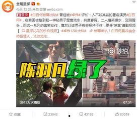 王搏被人爆料视频大全集,真相与争议交织  第2张