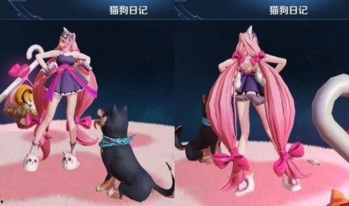 大乔猫狗爆料视频大全集,揭秘视频大全集精彩瞬间  第2张