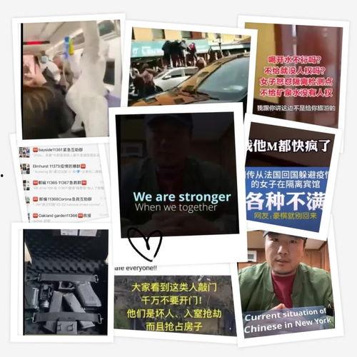 特朗普职业爆料视频播放,揭秘政坛幕后真相  第1张