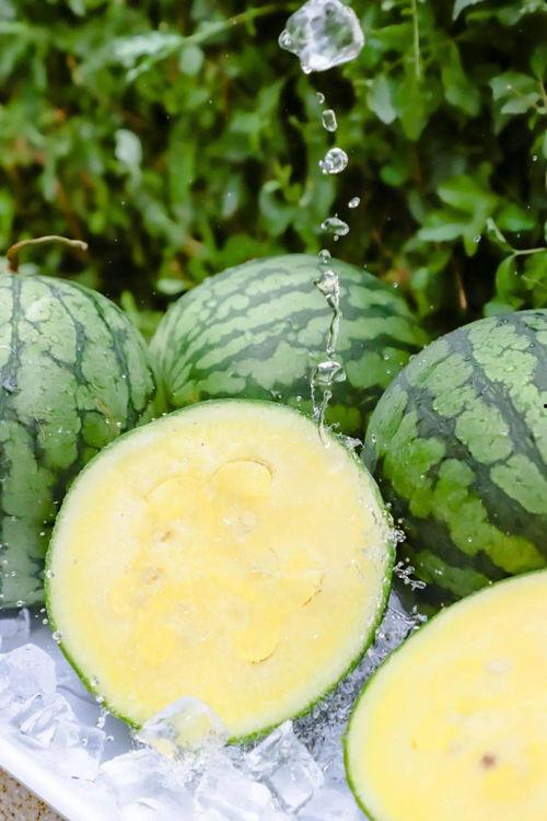 黑料吃瓜ios下载免费,揭秘娱乐圈幕后真相  第1张