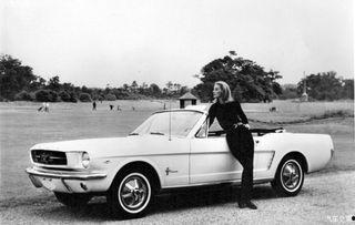 电影《野马》在线观看,探寻自由与束缚的青春之旅  第1张