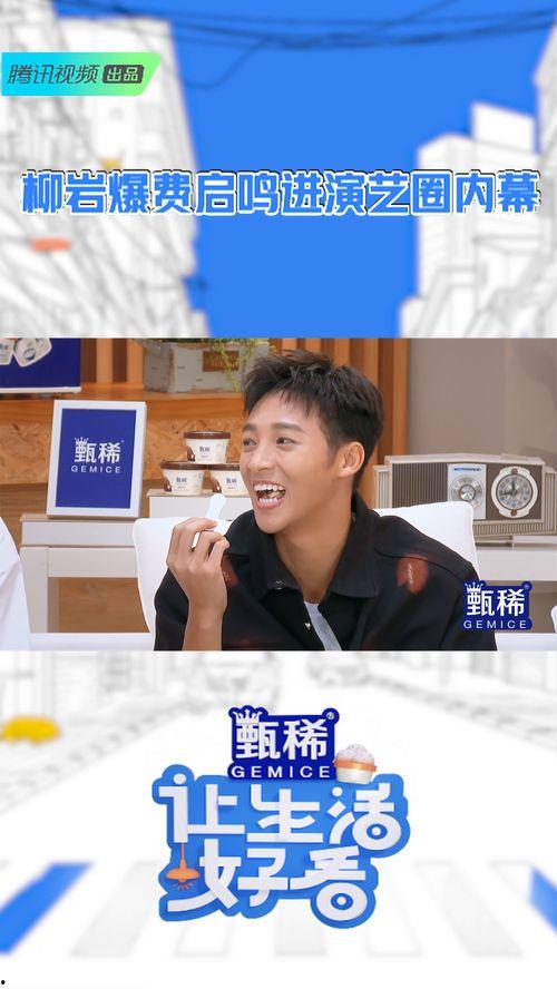 娱乐圈内幕爆料柳岩,揭秘明星背后的真相  第2张