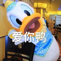 娱乐吃瓜鸭图片,揭秘娱乐圈那些不为人知的幕后故事 第2张 娱乐吃瓜鸭图片,揭秘娱乐圈那些不为人知的幕后故事 第2张