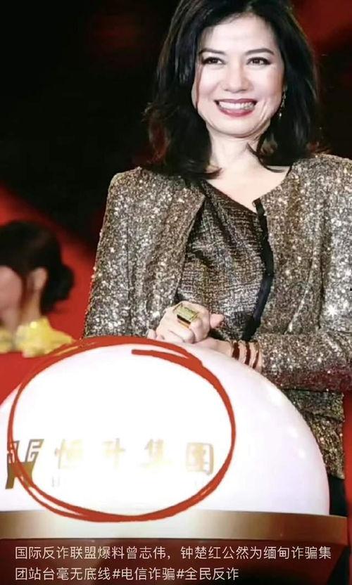 张可蕙爆料曾志伟视频播放,真相背后引人深思 第3张 张可蕙爆料曾志伟视频播放,真相背后引人深思 第3张